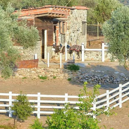 House In 10 Acres Of Grass With Horses *