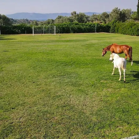 House In 10 Acres Of Grass With Horses Dom wakacyjny *